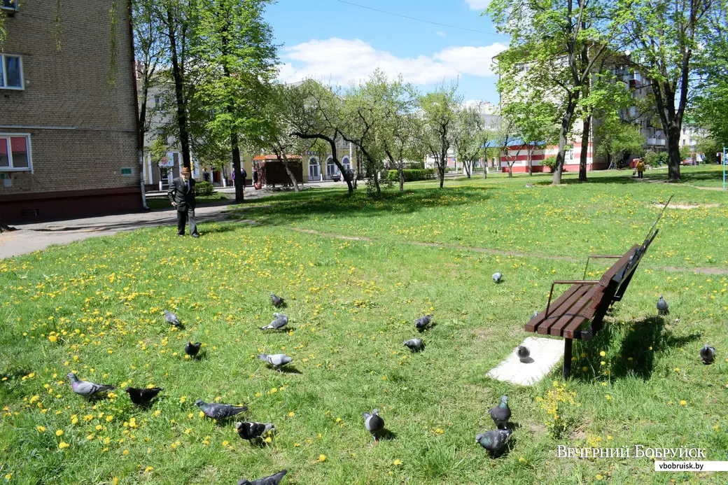 8.05.2020, Бобруйск. 100-летний Тимофей Кукотин выходит опробовать свою лавку