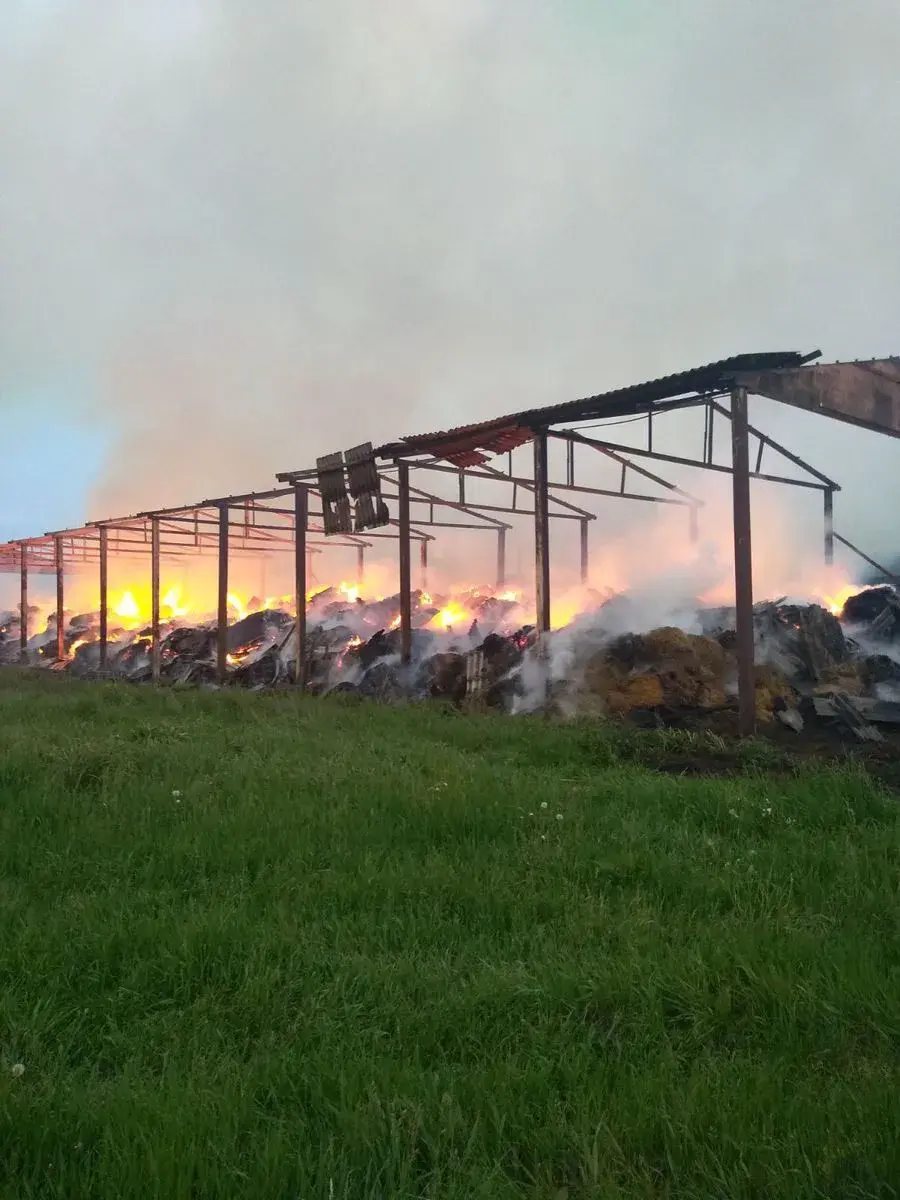 26.05.2020, пожар в Бобруйском районе