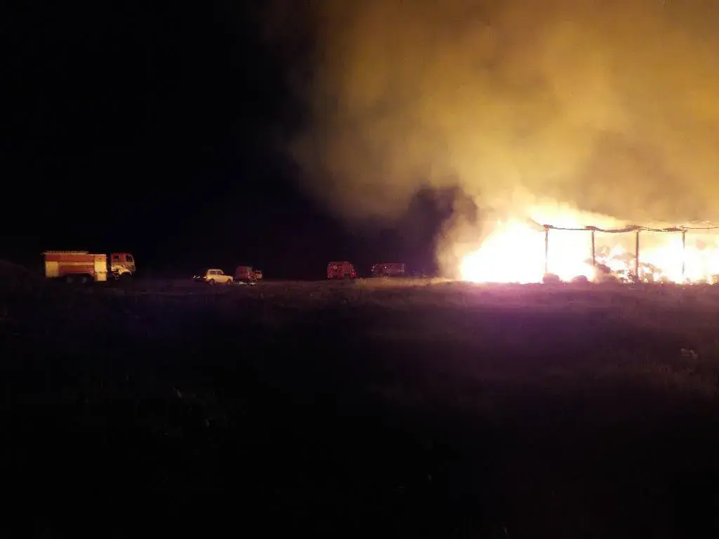 26.05.2020, пожар в Бобруйском районе