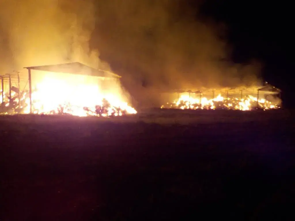 26.05.2020, пожар в Бобруйском районе