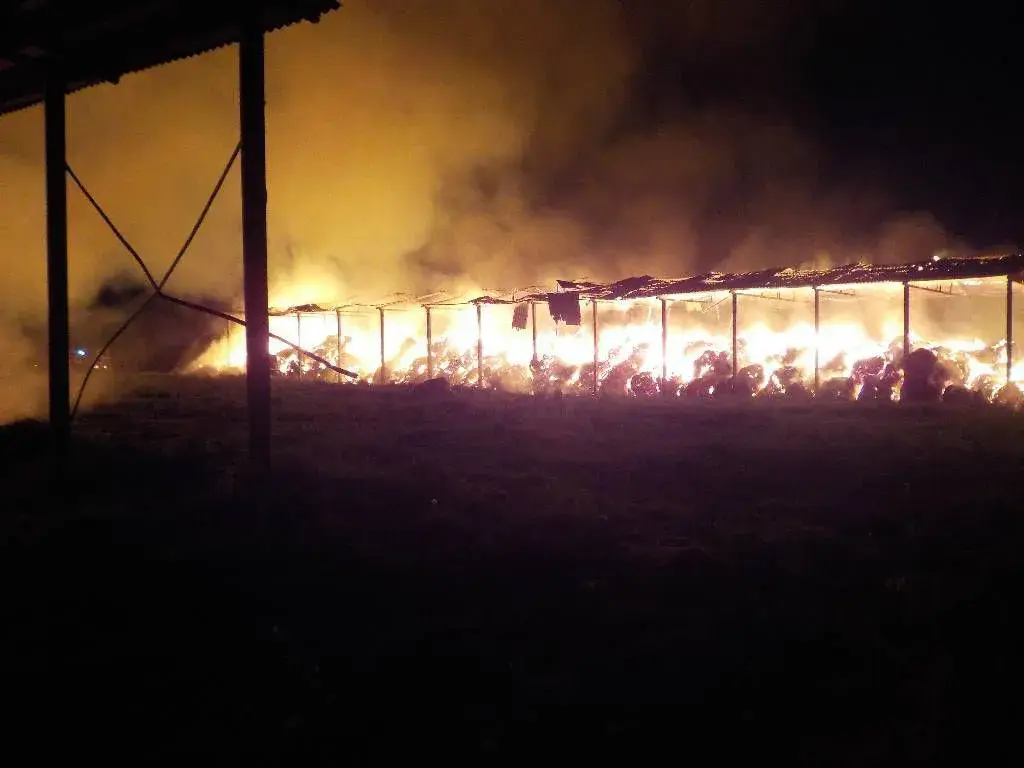 26.05.2020, пожар в Бобруйском районе