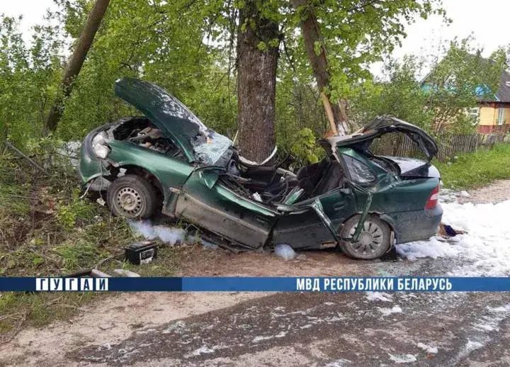 Два человека погибли в аварии, которая произошла утром 30 мая в Поставском районе.