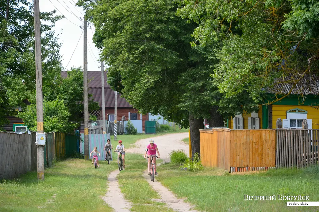 Деревня Углы Бобруйского района