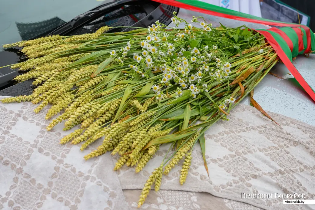 03.07.2020. Бобруйск, Могилевская область. Конкурс «Автоледи»