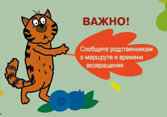 Изображение: МЧС
