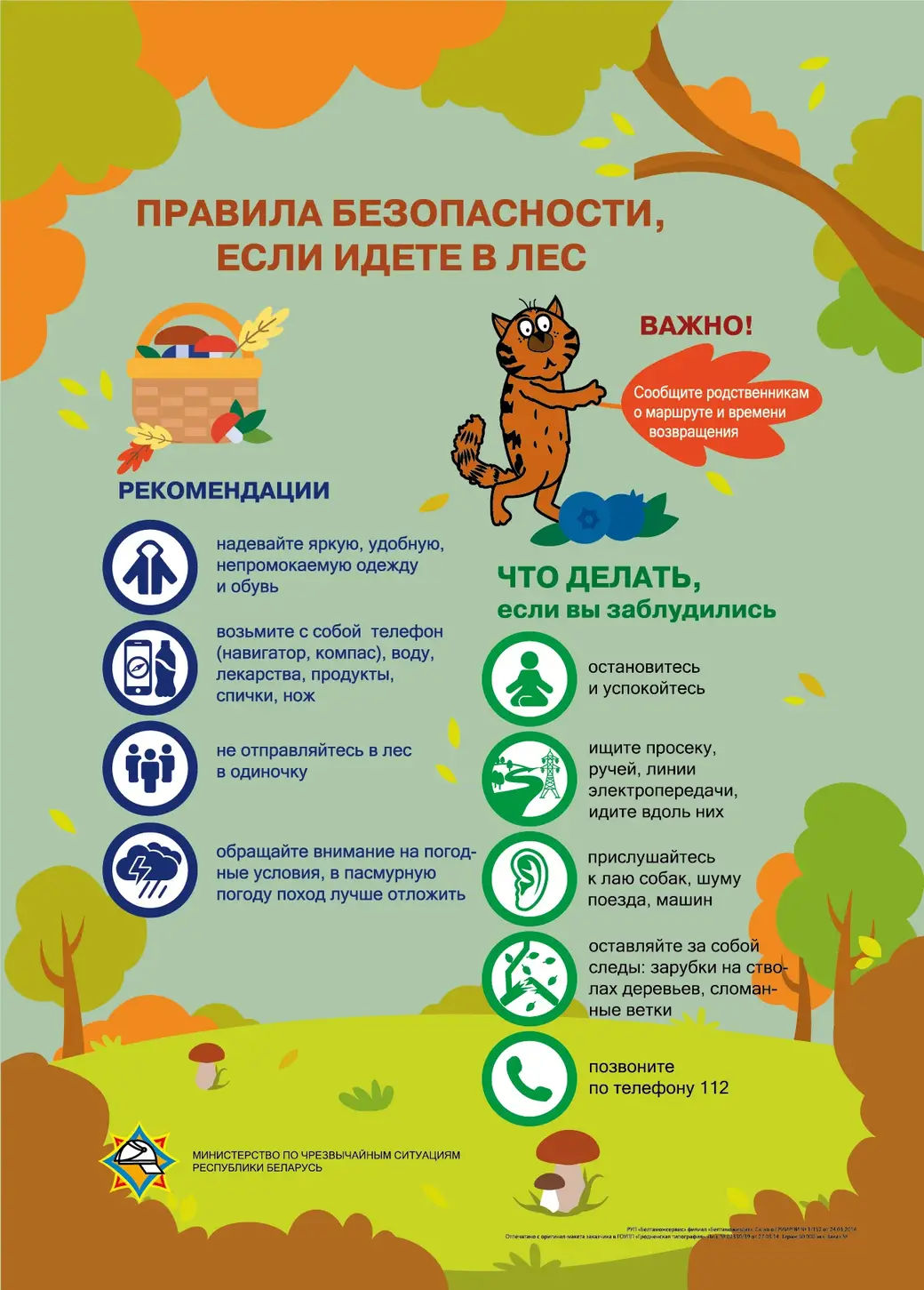 Инфографика: МЧС