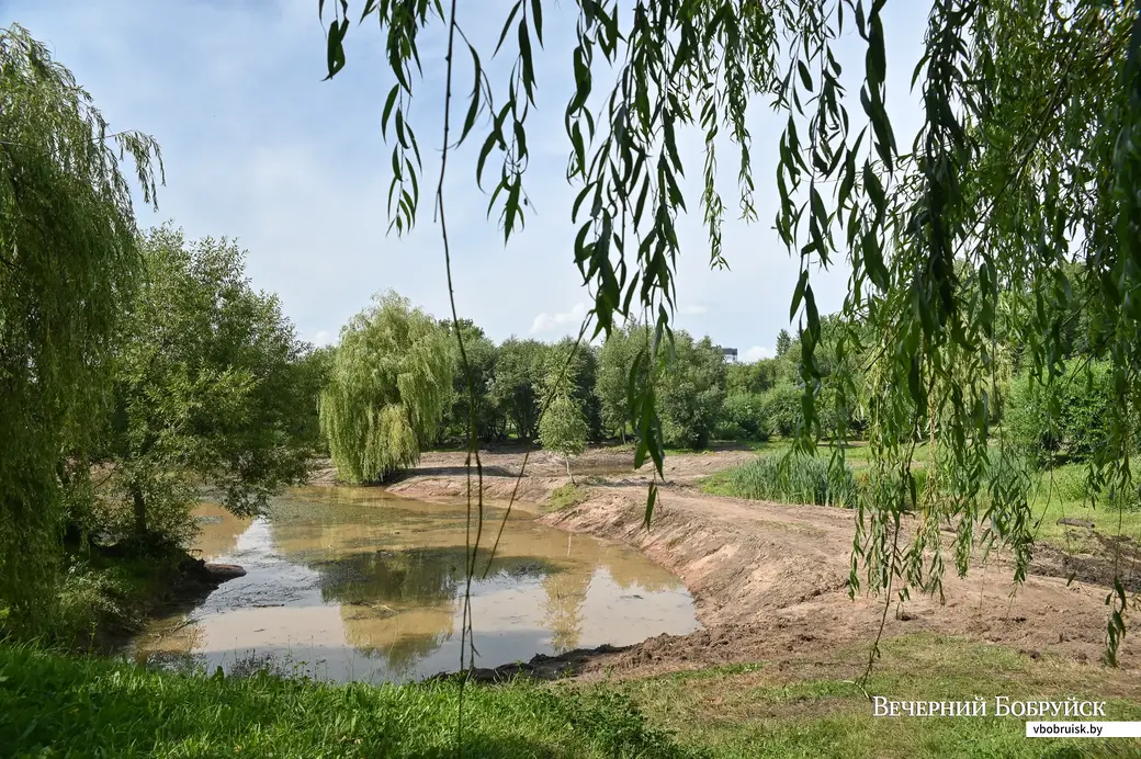 27.07.2020. Бобруйск. Благоустройство прудов в городском парке