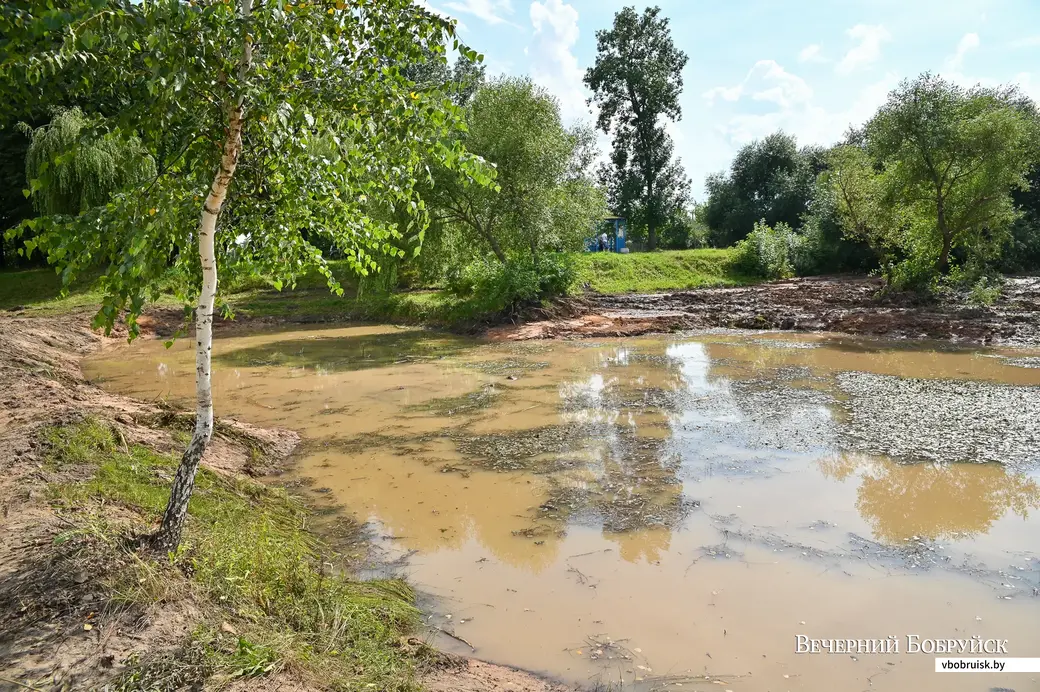 27.07.2020. Бобруйск. Благоустройство прудов в городском парке