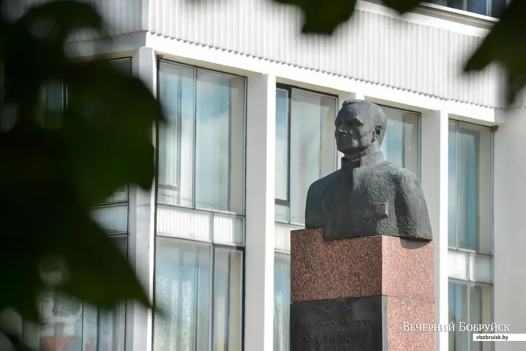 24.07.2020. Агрогородок Мышковичи Кировского района
