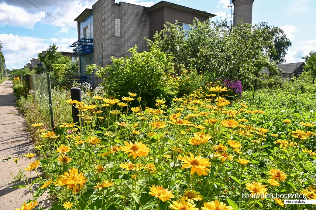 24.07.2020. Агрогородок Мышковичи Кировского района