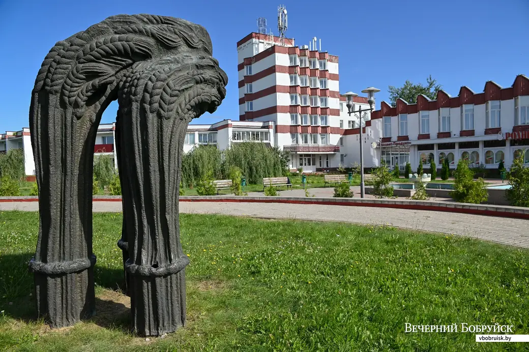 24.07.2020. Агрогородок Мышковичи Кировского района