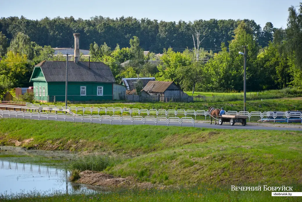 24.07.2020. Агрогородок Мышковичи Кировского района