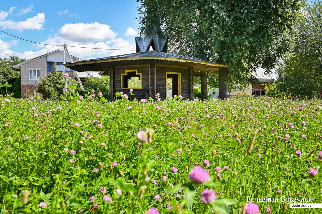 24.07.2020. Агрогородок Мышковичи Кировского района