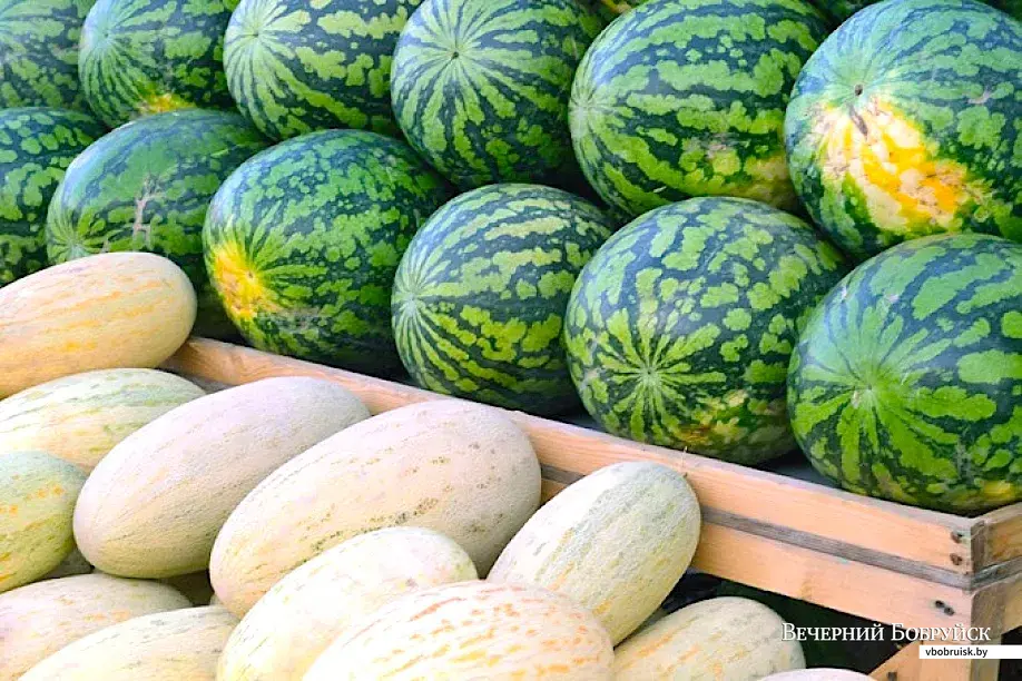 27.08.2020, продукция на центральном рынке в Бобруйске.