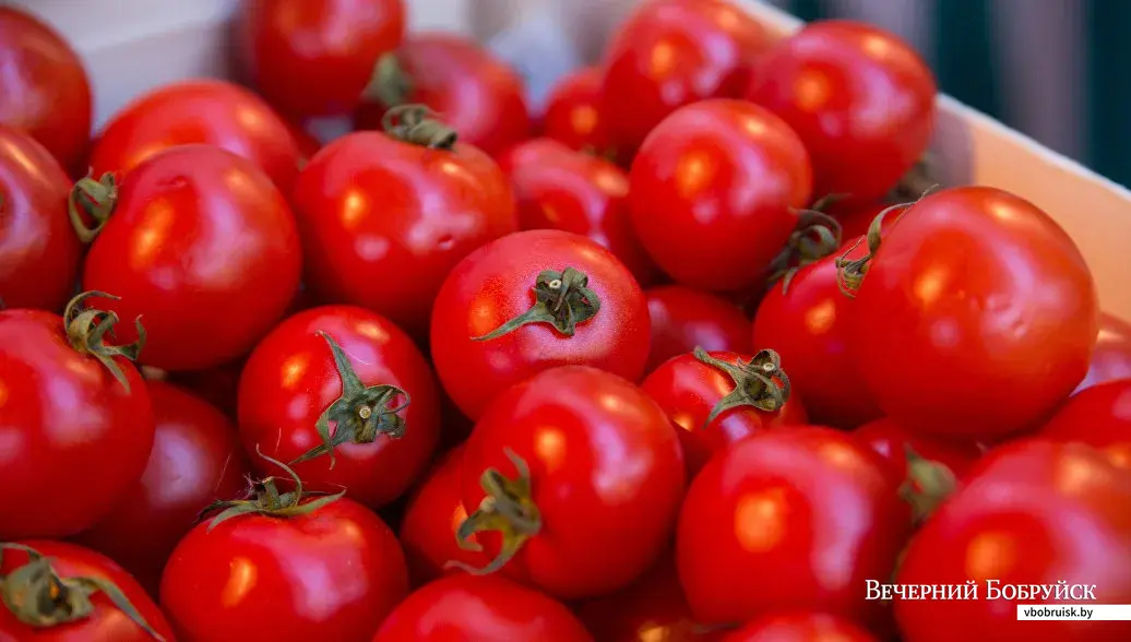 27.08.2020, продукция на центральном рынке в Бобруйске.