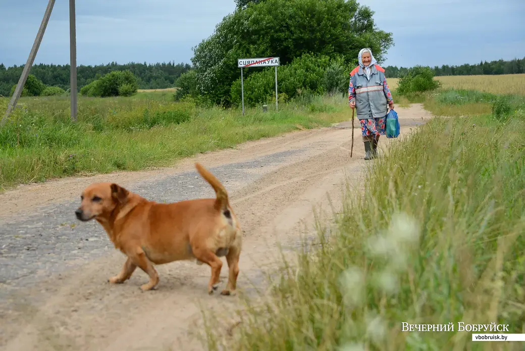 Глусский район, деревня Степановка.
