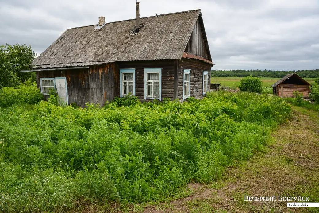 Глусский район, деревня Степановка.