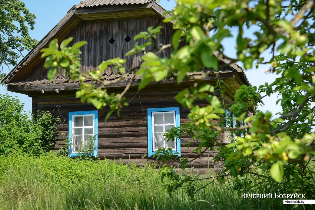 2020 г. Бобруйский район, деревня Углы.