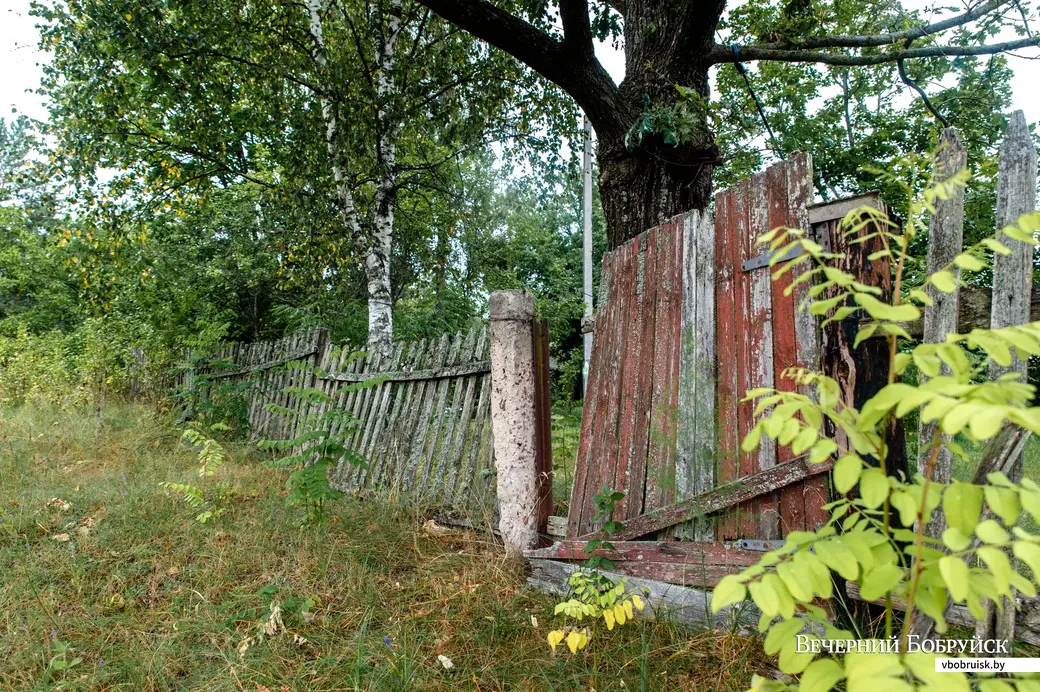Деревня Продвино, Бобруйский район.