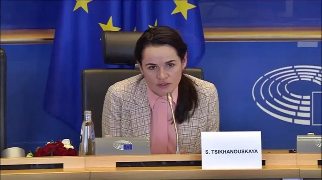 Кадр из трансляции заседания комитета по международным делам Европарламента.