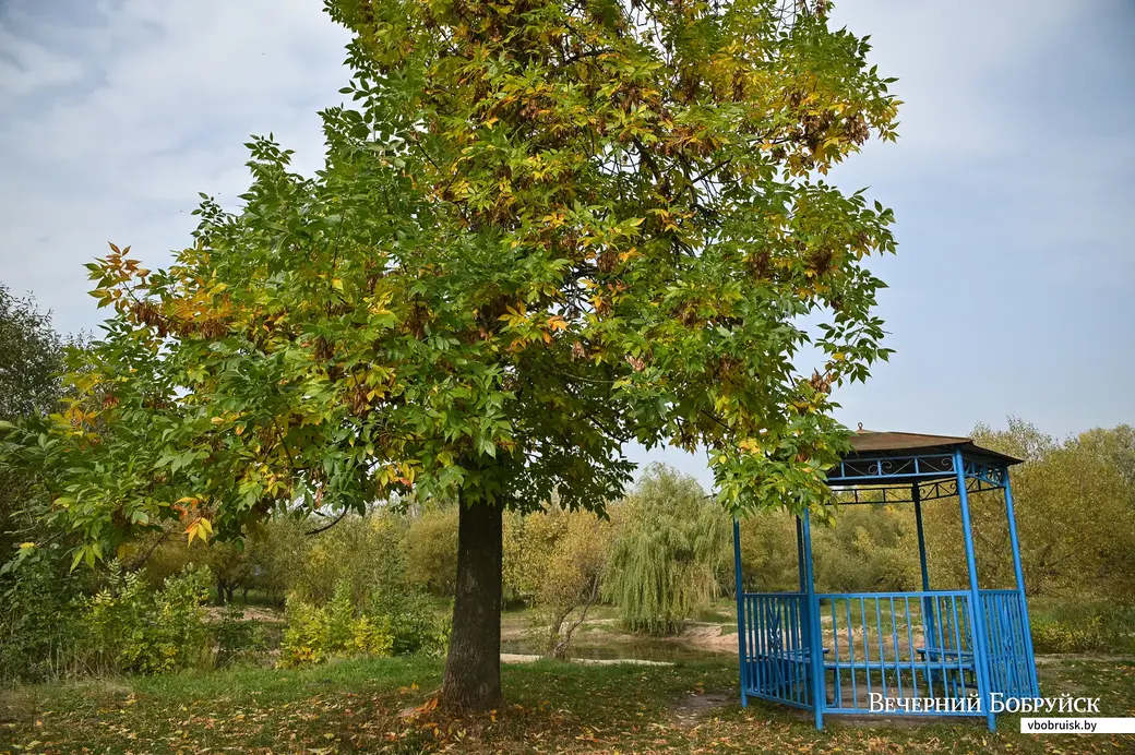 30.09.2020. Бобруйск. Городской парк культуры и отдыха