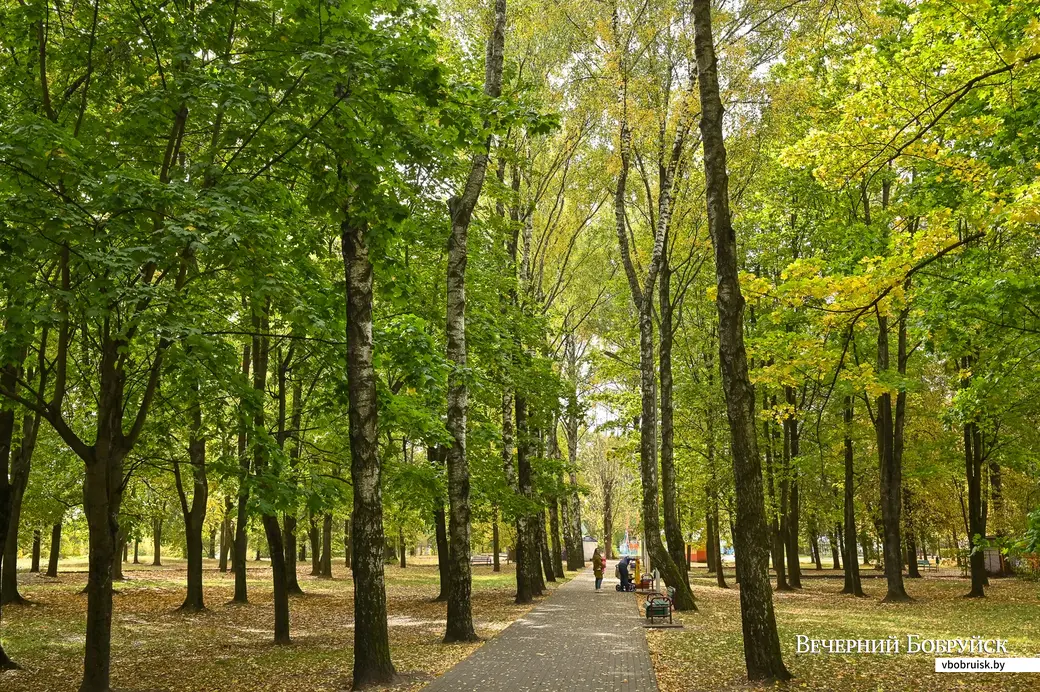 30.09.2020. Бобруйск. Городской парк культуры и отдыха