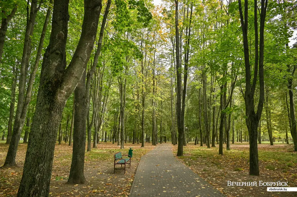 30.09.2020. Бобруйск. Городской парк культуры и отдыха