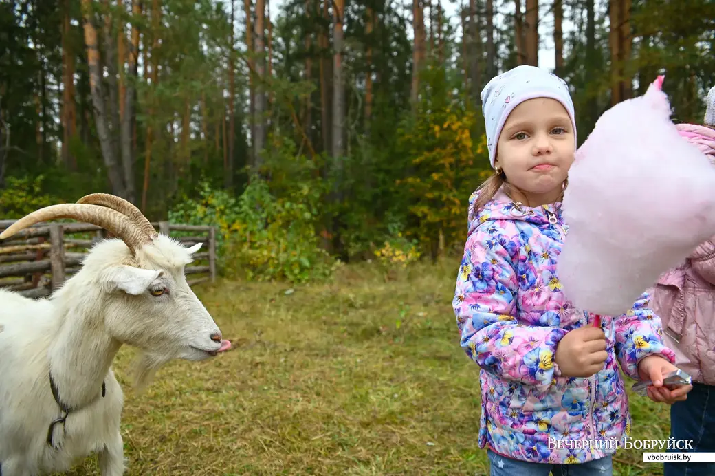 03.10.2020. Глуша. Региональный фестиваль народного творчества и ремесел «Глушанский хуторок»