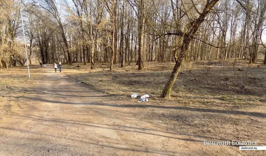 Фото УСК по Могилевской области