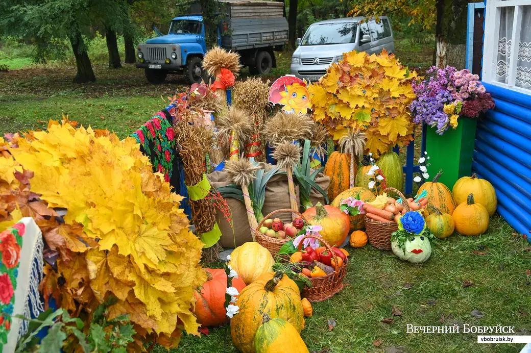09.10.2020. Бобруйск. Районный фестиваль-ярмарка тружеников села «Дожинки-2020» в агрогородке Михалево-1