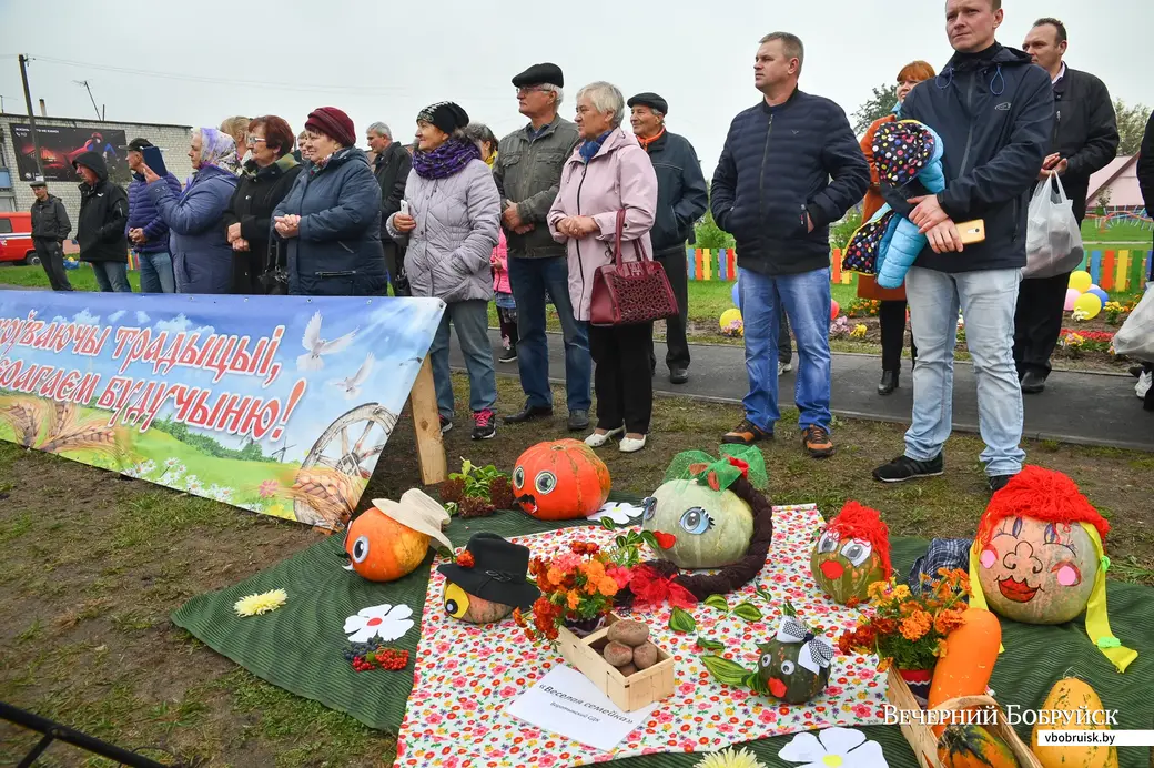09.10.2020. Бобруйск. Районный фестиваль-ярмарка тружеников села «Дожинки-2020» в агрогородке Михалево-1