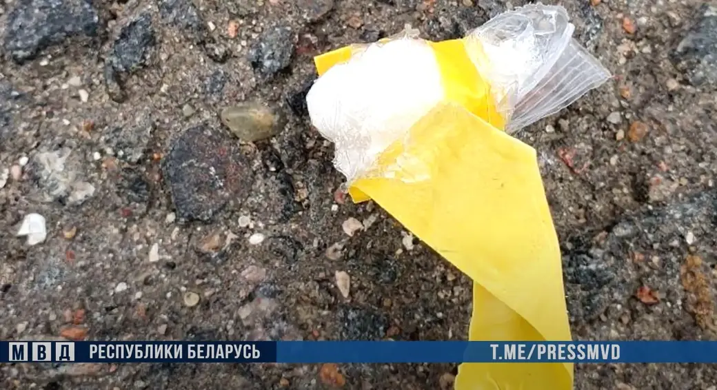 Пример закладки. Источник: скриншот видео МВД РБ