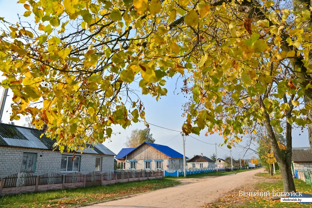 27.10.2020. Горбацевичи, Бобруйский район.