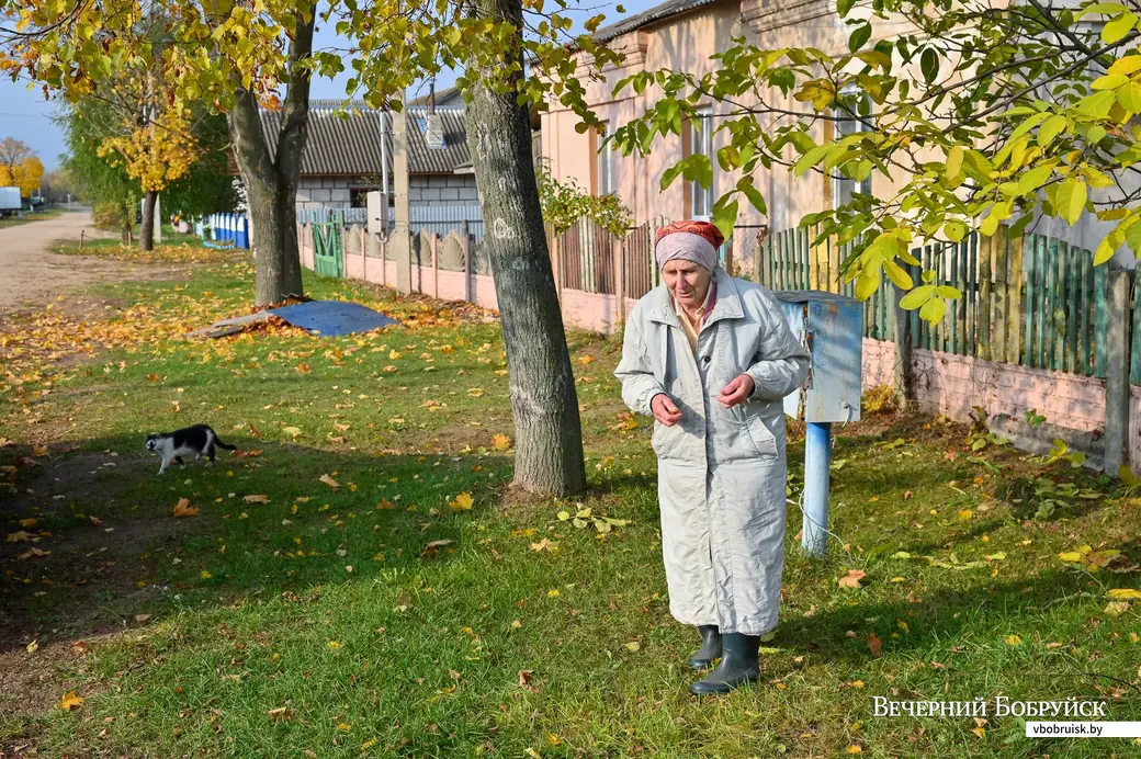 27.10.2020. Горбацевичи, Бобруйский район.
