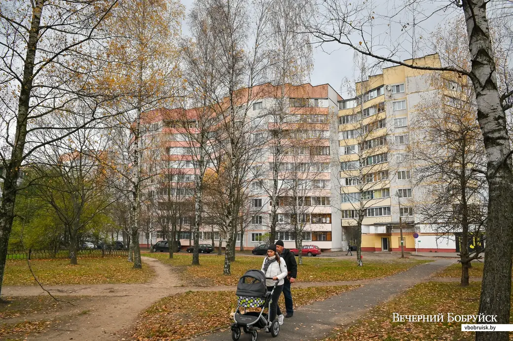 11.11.2020. Бобруйск. Жильцы домов на улице Ульяновской протестуют против вырубки сквера у гостиницы «Юбилейная»