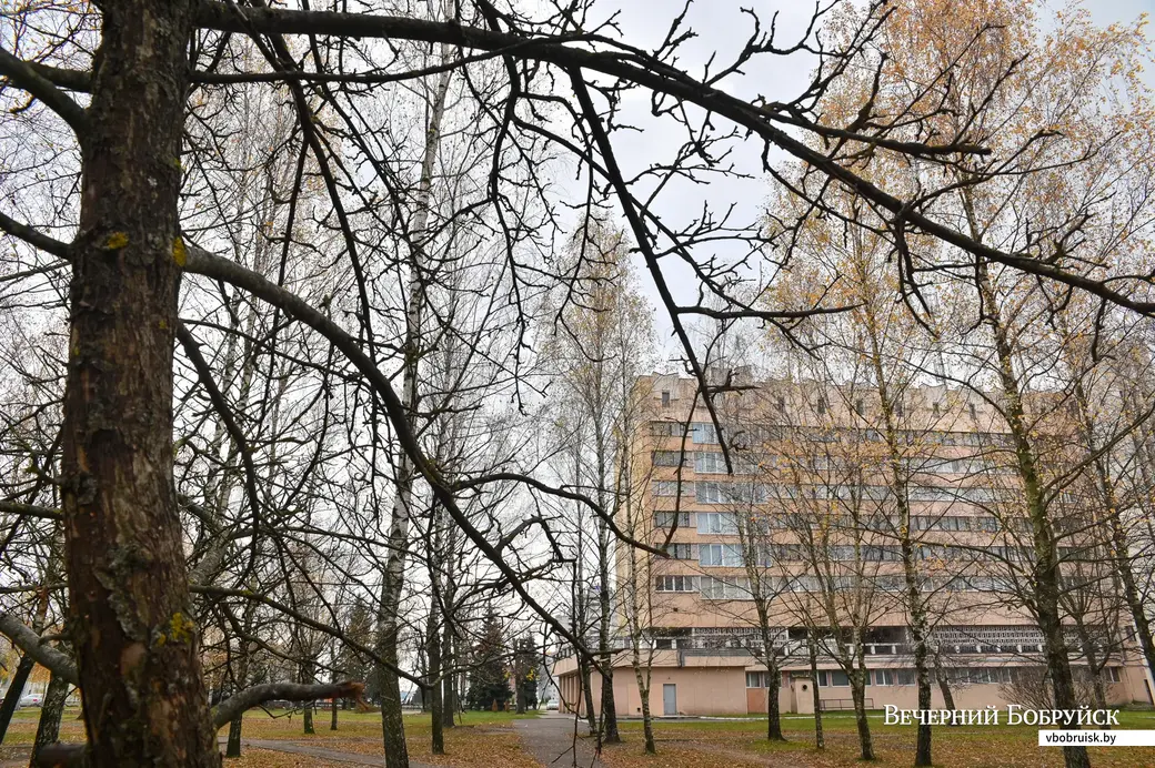 11.11.2020. Бобруйск. Жильцы домов на улице Ульяновской протестуют против вырубки сквера у гостиницы «Юбилейная»