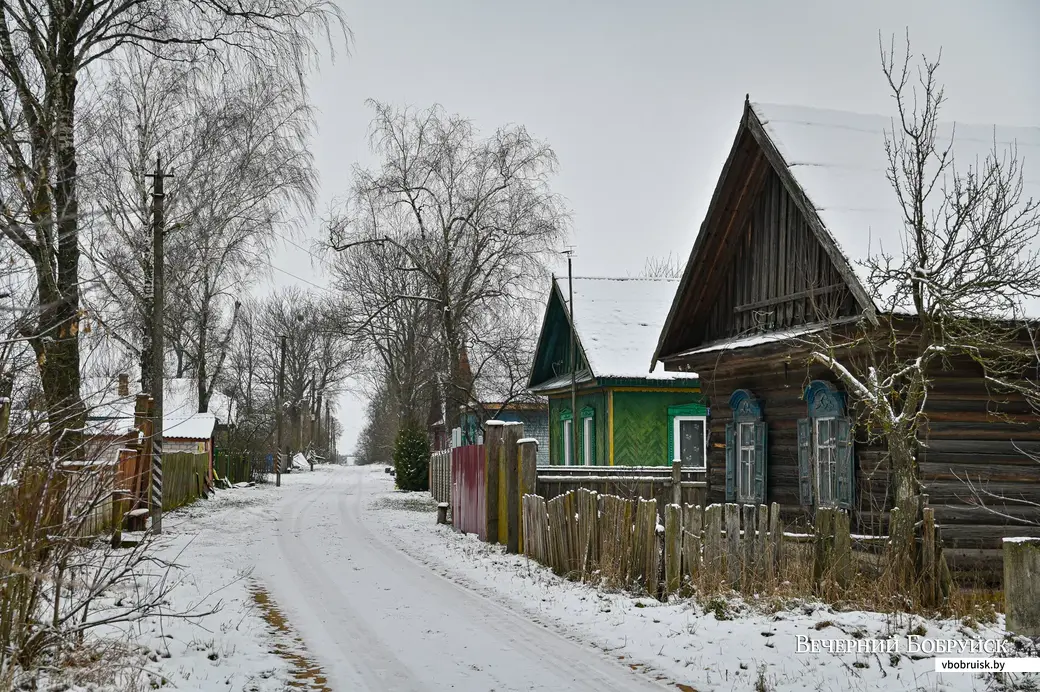04.12.2020. Бобруйск. Деревня Барановичи Бобруйского района и ее обитатели