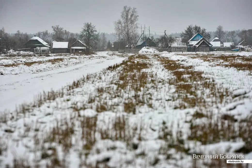04.12.2020. Бобруйск. Деревня Барановичи Бобруйского района и ее обитатели