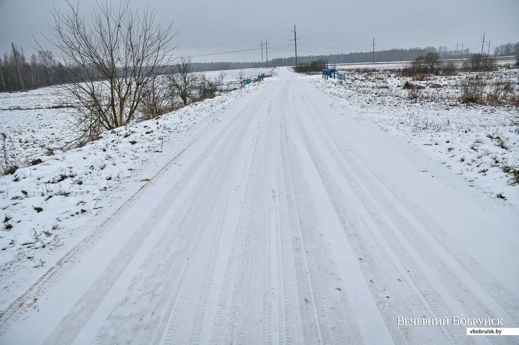 04.12.2020. Бобруйск. Деревня Барановичи Бобруйского района и ее обитатели