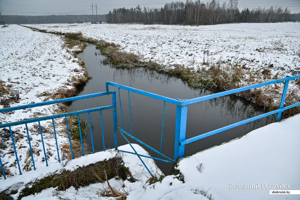 04.12.2020. Бобруйск. Деревня Барановичи Бобруйского района и ее обитатели
