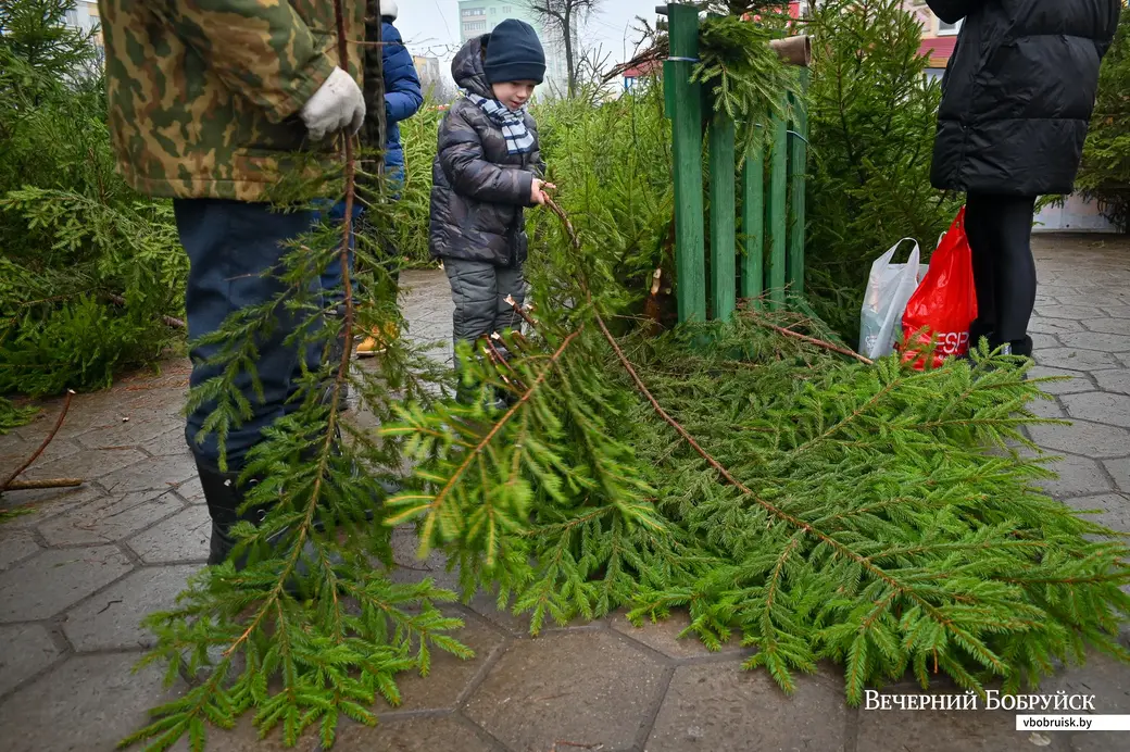 31.12.2020. Бобруйск. Последний день 2020 года
