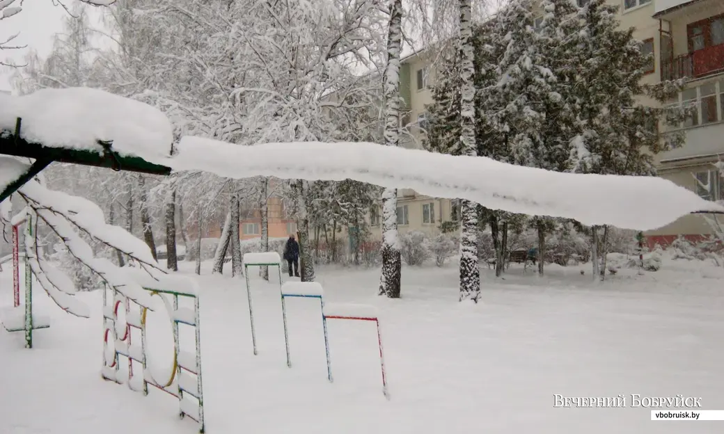 Снежный Бобруйск, 8 января 2020 года.