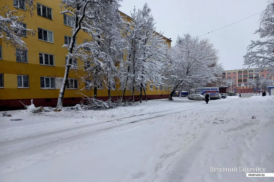 8.01.2021, Бобруйск. Результаты снегопада на Минской улице.