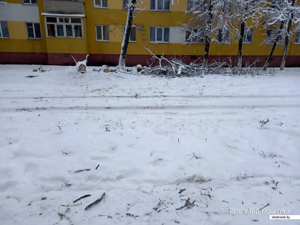 8.01.2021, Бобруйск. Результаты снегопада на Минской улице.