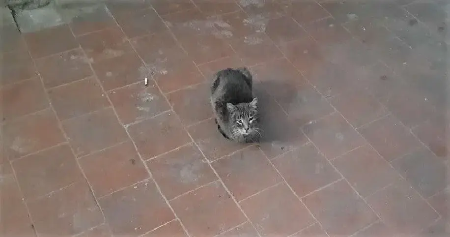 Фото читателя.