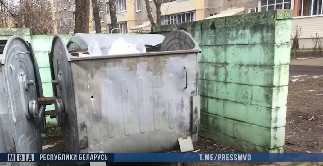 Стоп-кадр видео МВД.