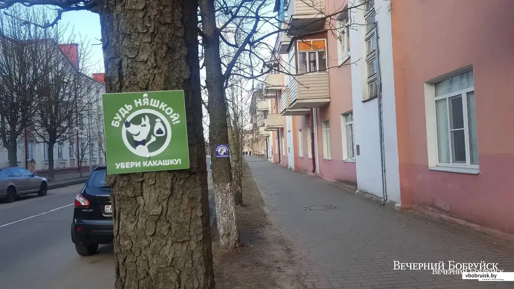 Таблички, появивишиеся в центре Бобруйска