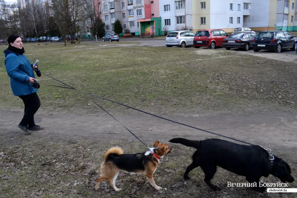 Юлия Вечер с питомцами