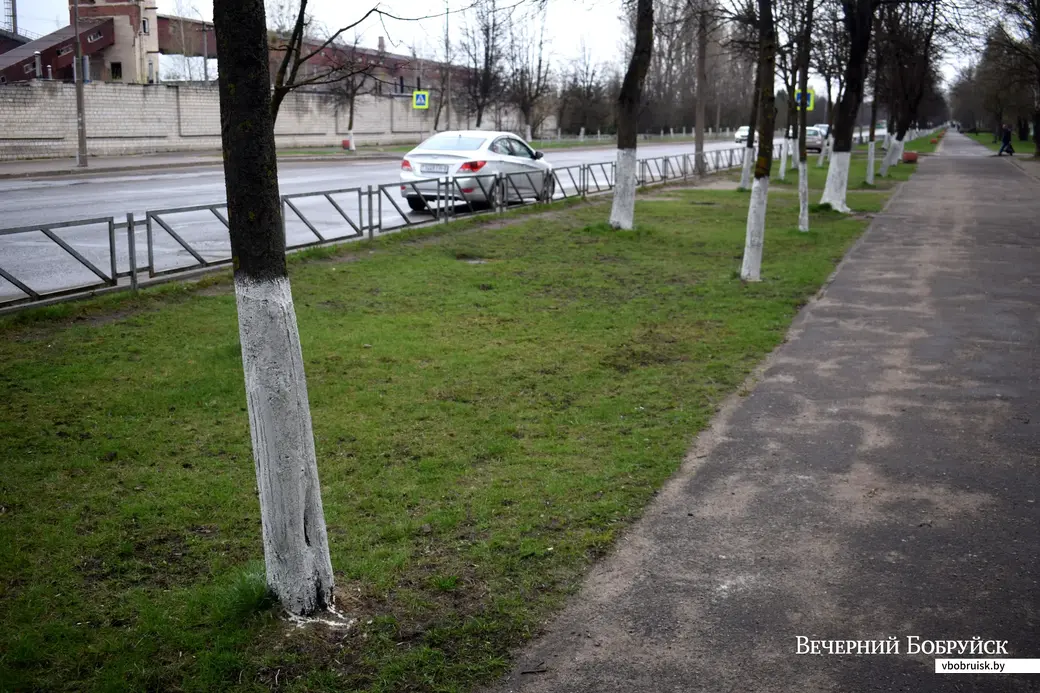 23.04.21. Бобруйск, ул. Рокоссовского.