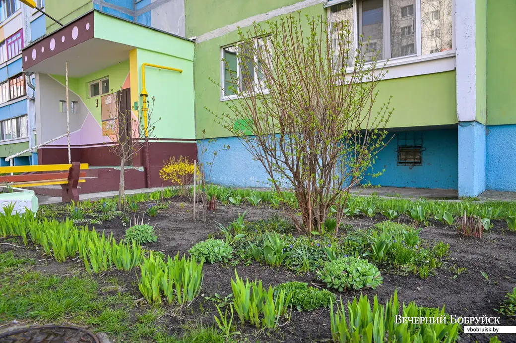 22.04.2021. Бобруйск. У своего подъезда Зинаида Ивановна разводит цветы.